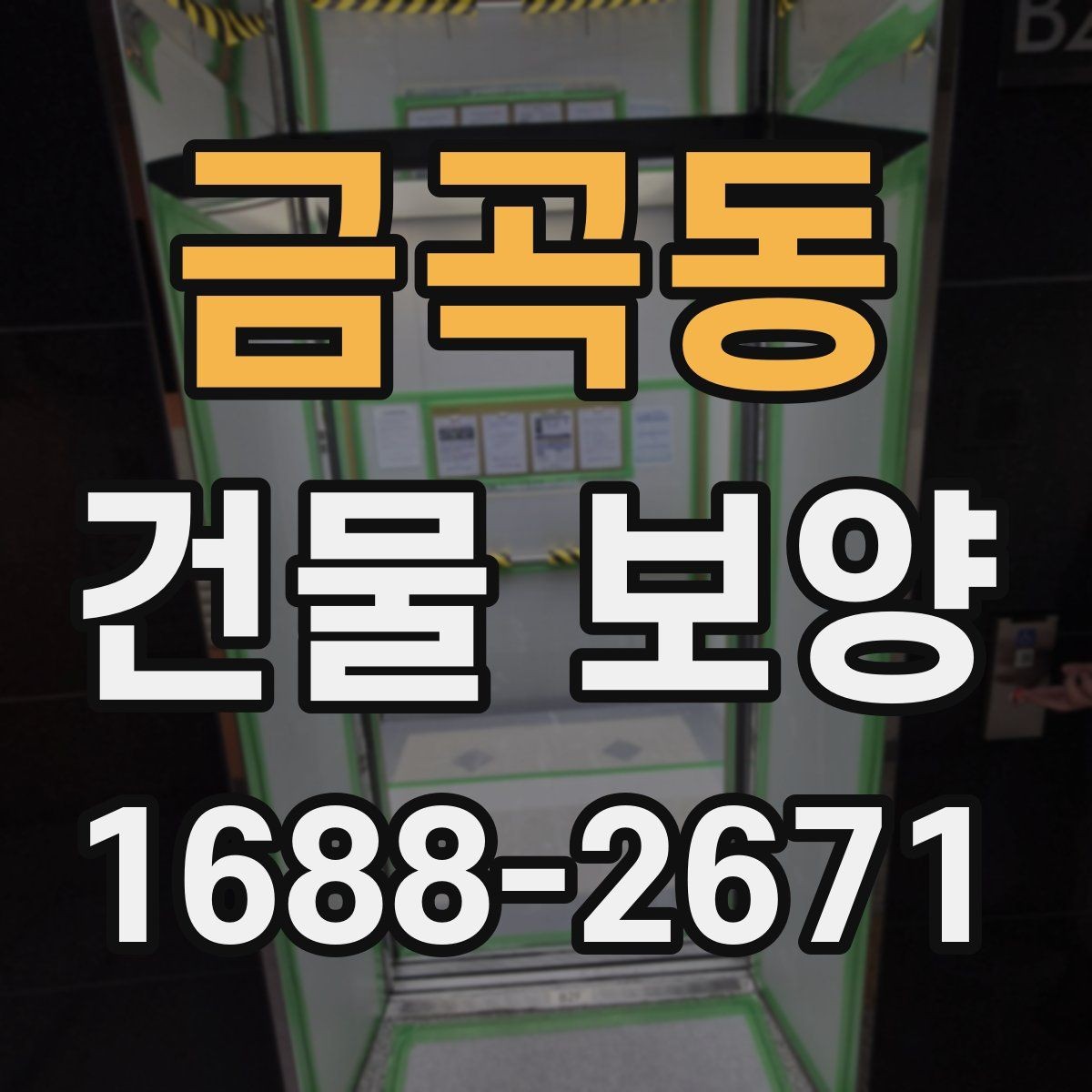 금곡동 건물 보양 자재별 장단점 한눈에 보기
