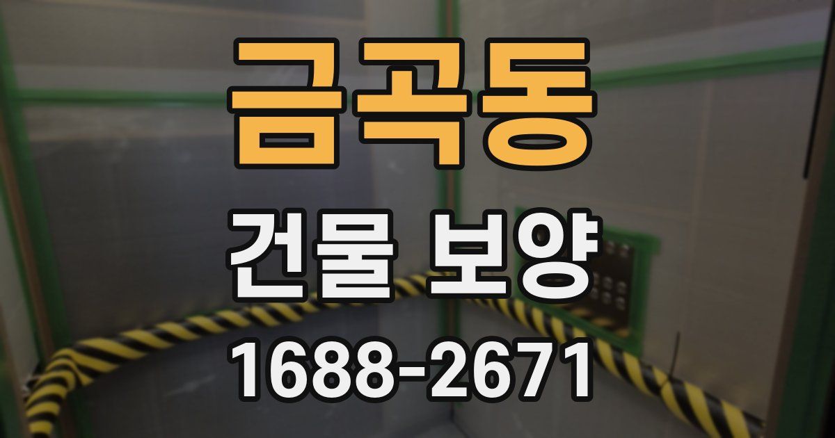 금곡동 건물 보양