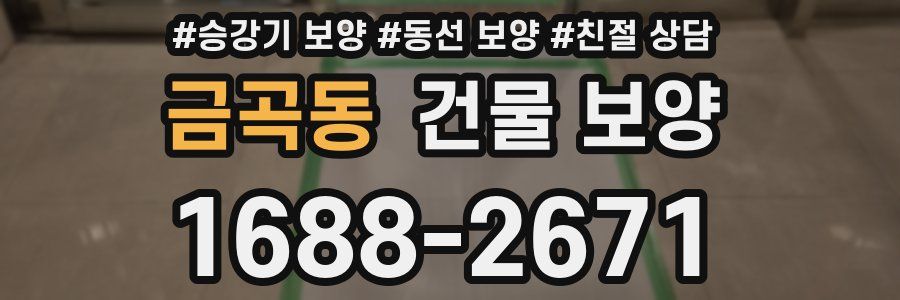 금곡동 건물 보양