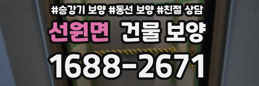 선원면 건물 보양