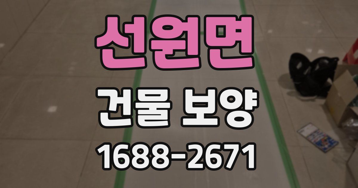 선원면 건물 보양