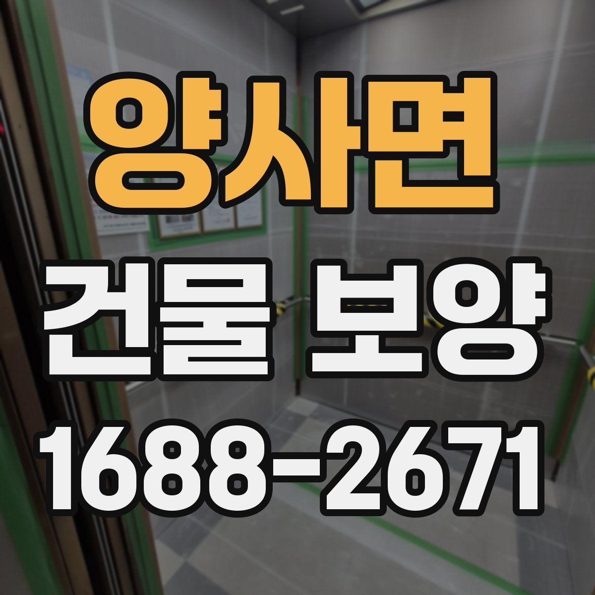 양사면 건물 보양