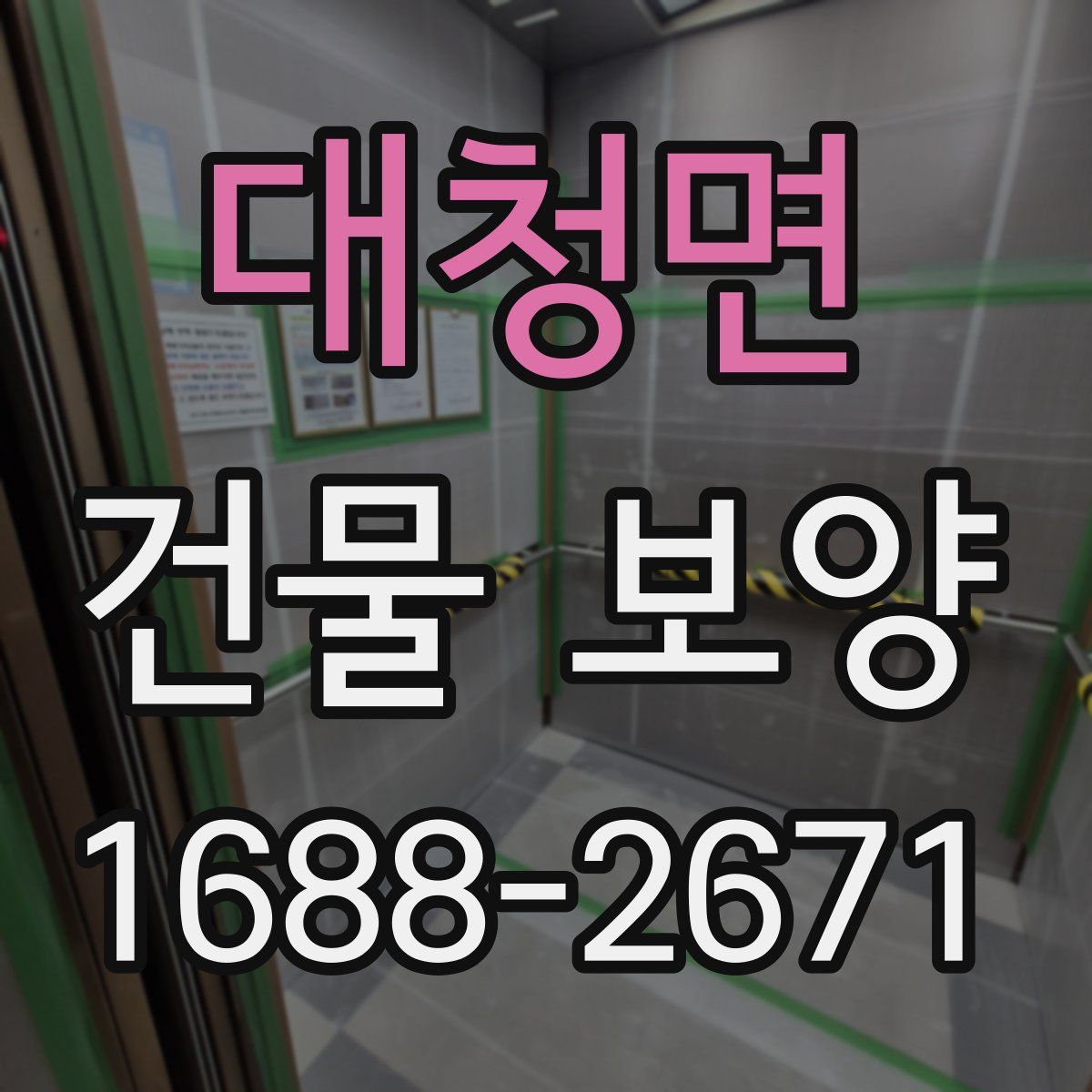 대청면 건물 보양