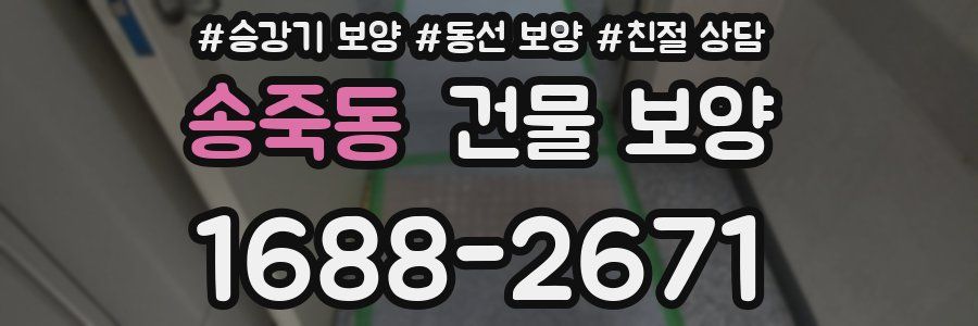 송죽동 건물 보양