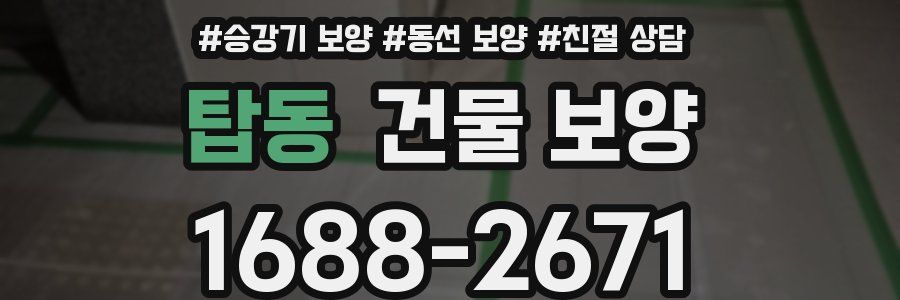 탑동 건물 보양
