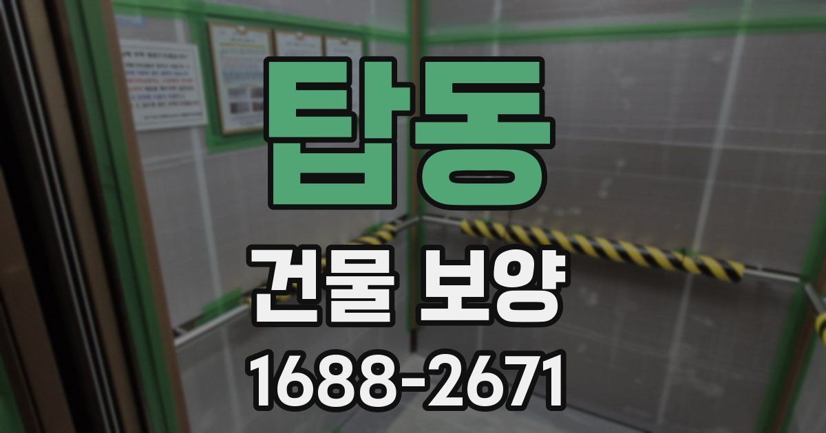 탑동 건물 보양