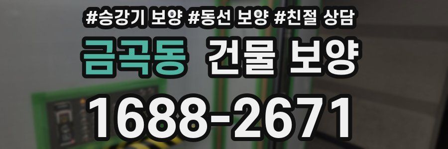 금곡동 건물 보양