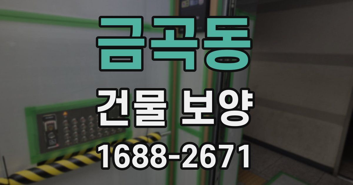 금곡동 건물 보양