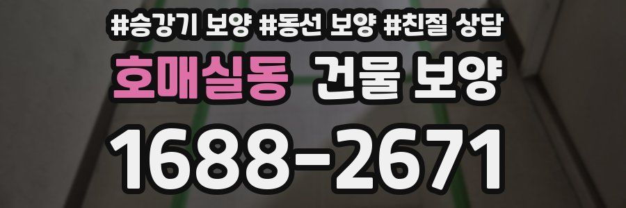 호매실동 건물 보양