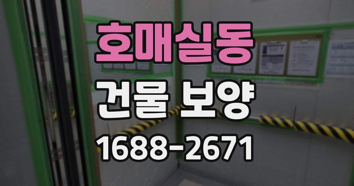 호매실동 건물 보양