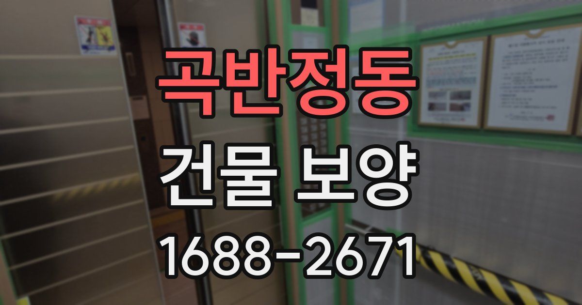곡반정동 건물 보양