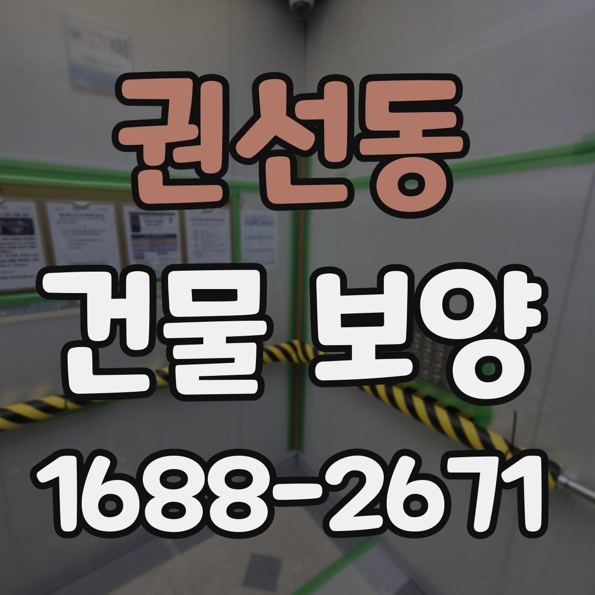 권선동 건물 보양 현장 사례로 본 비용 차이
