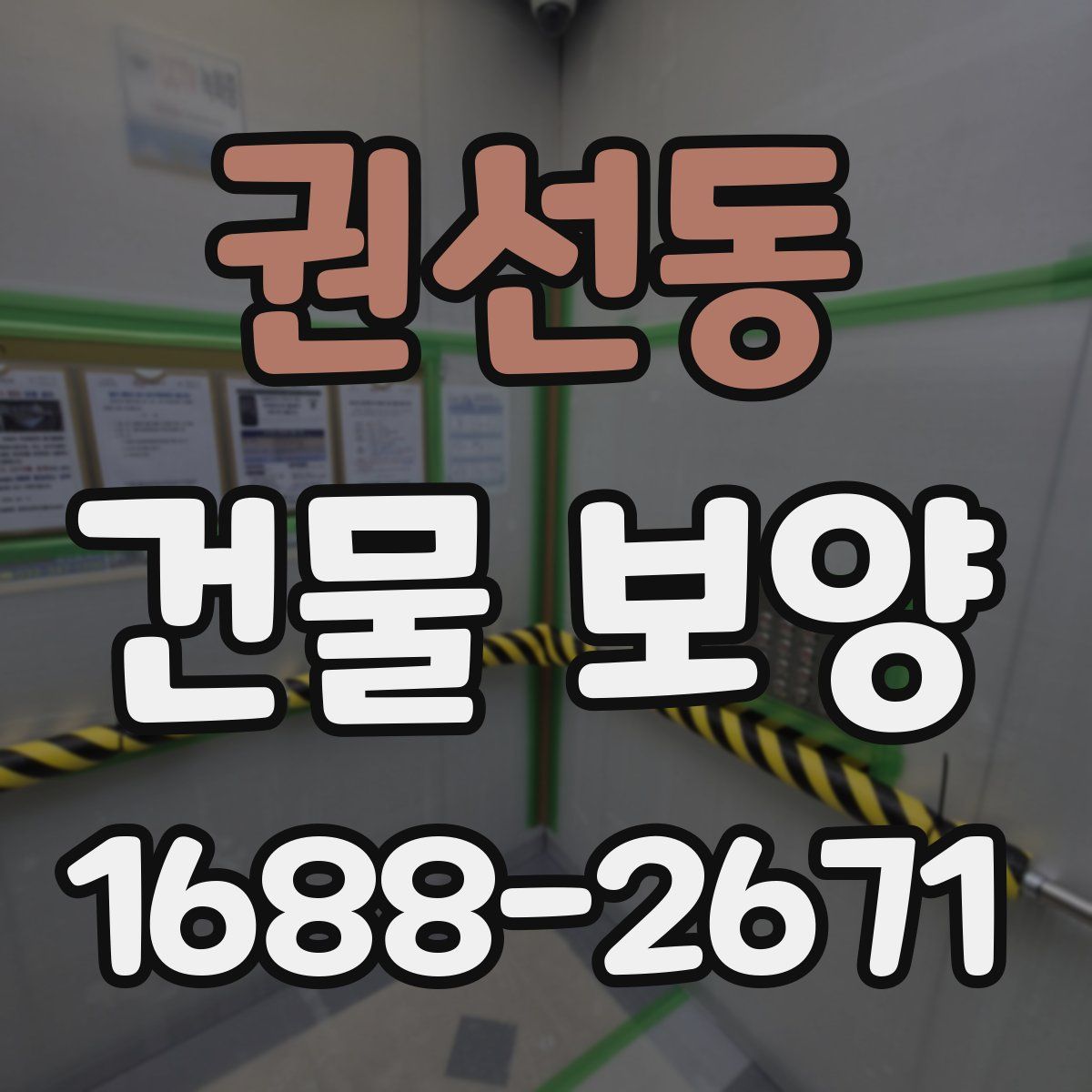 권선동 건물 보양