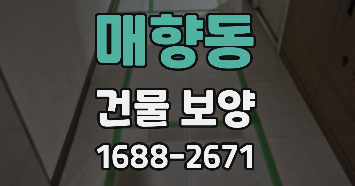 매향동 건물 보양