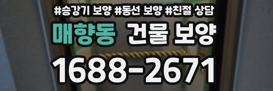매향동 건물 보양