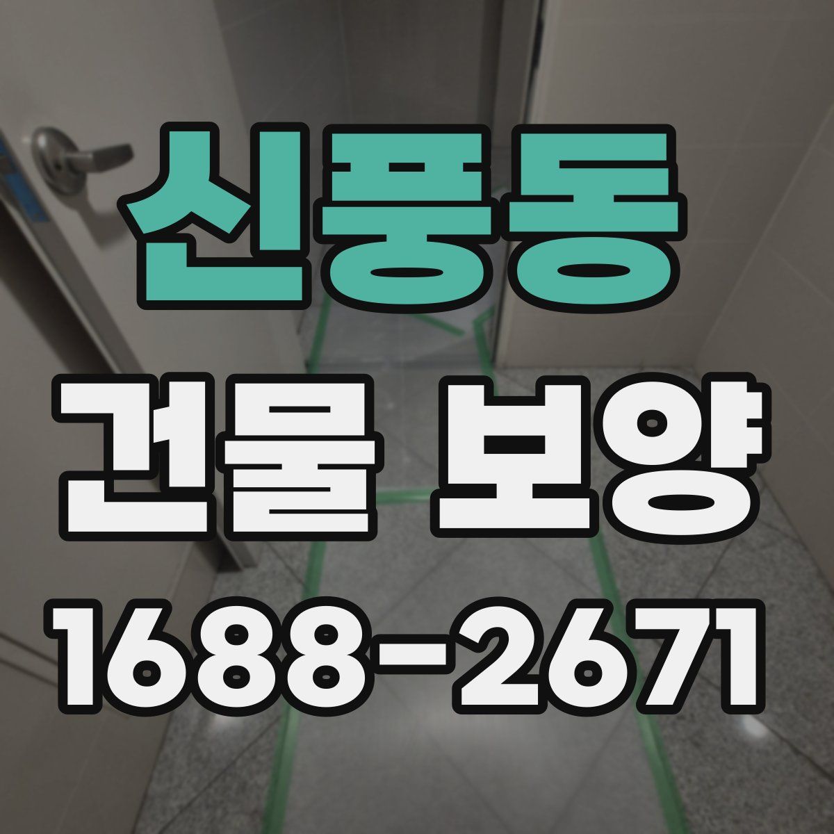 신풍동 건물 보양
