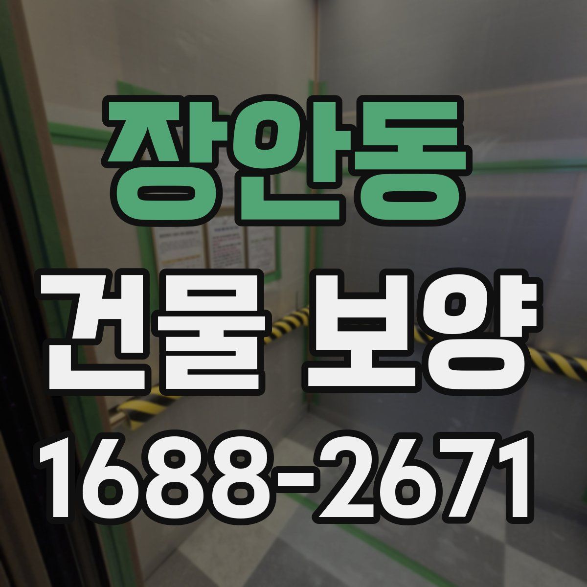 장안동 건물 보양