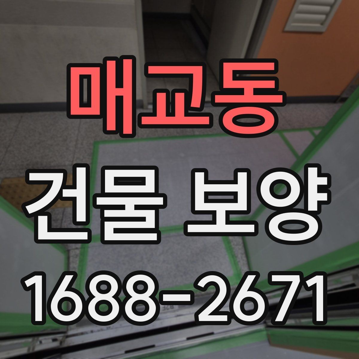 매교동 건물 보양 공정별 진행 방식 이해하기