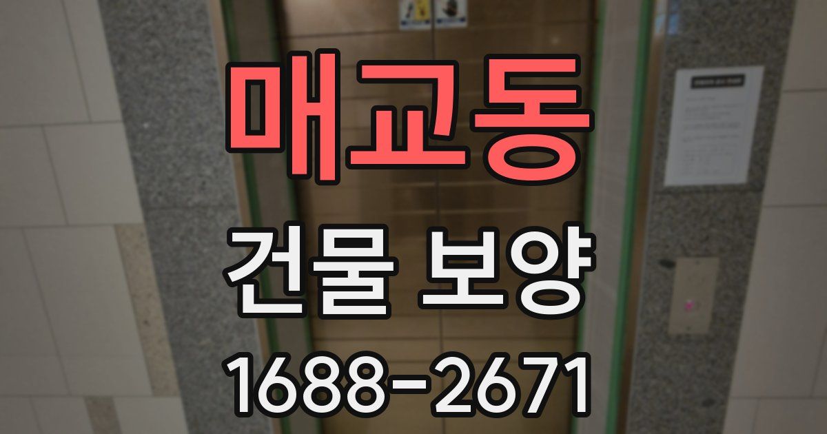 매교동 건물 보양