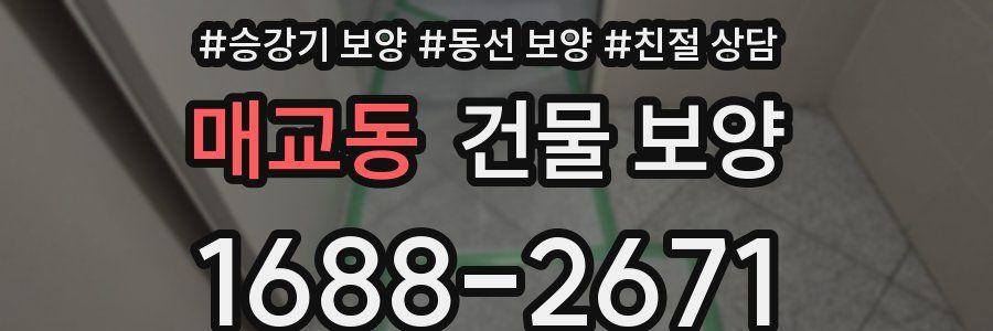 매교동 건물 보양