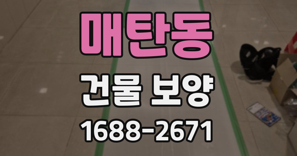 매탄동 건물 보양
