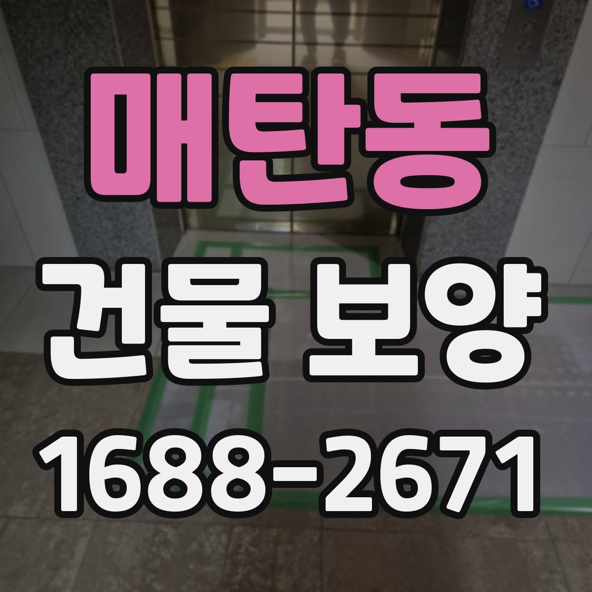 매탄동 건물 보양