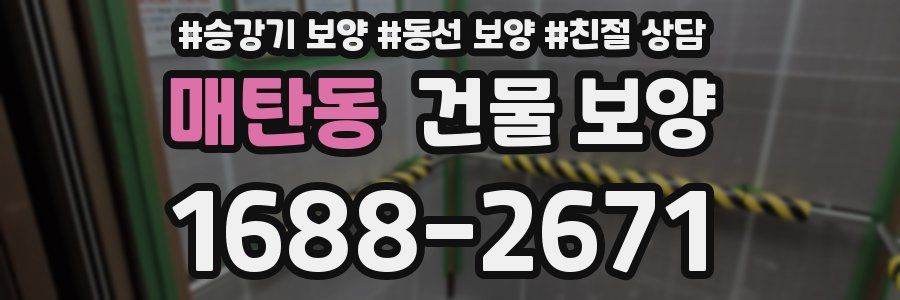 매탄동 건물 보양