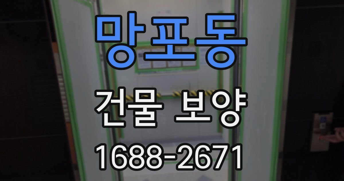 망포동 건물 보양