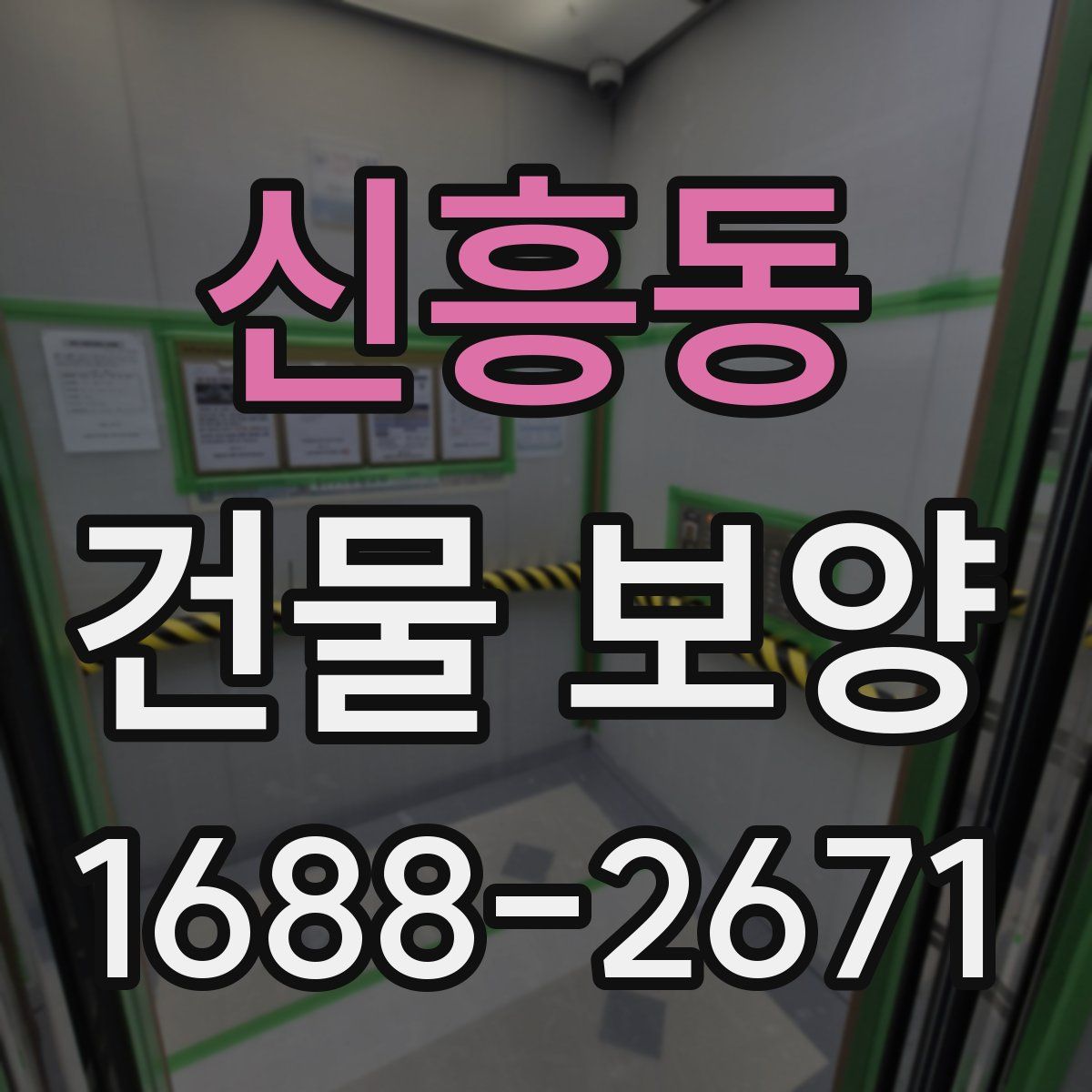신흥동 건물 보양