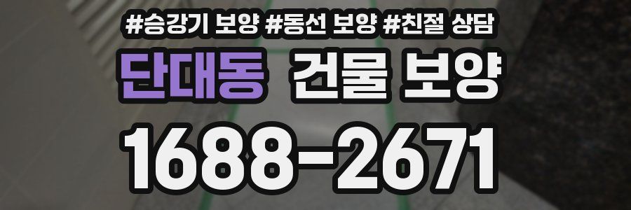 단대동 건물 보양