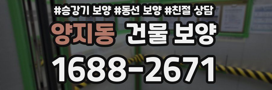 양지동 건물 보양