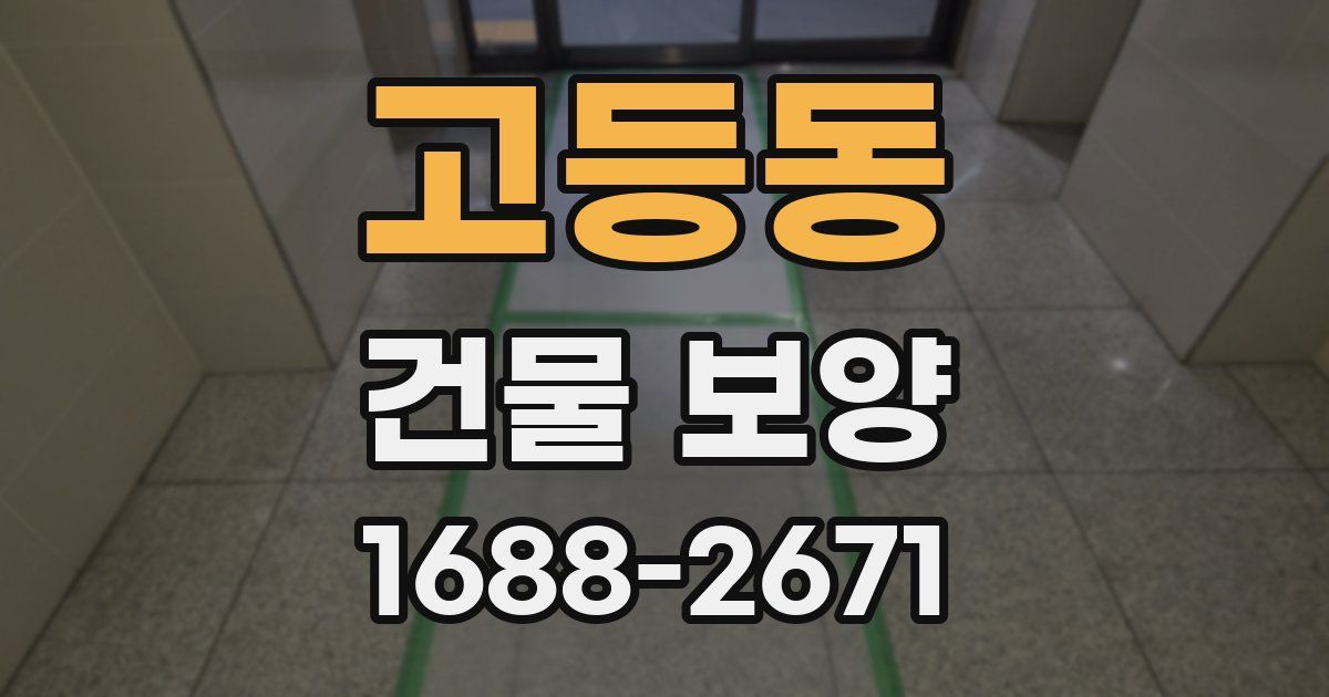 고등동 건물 보양