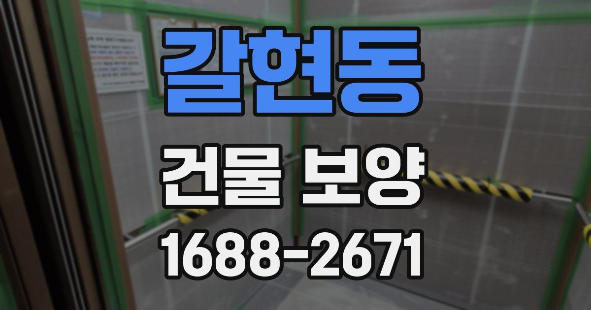 갈현동 건물 보양