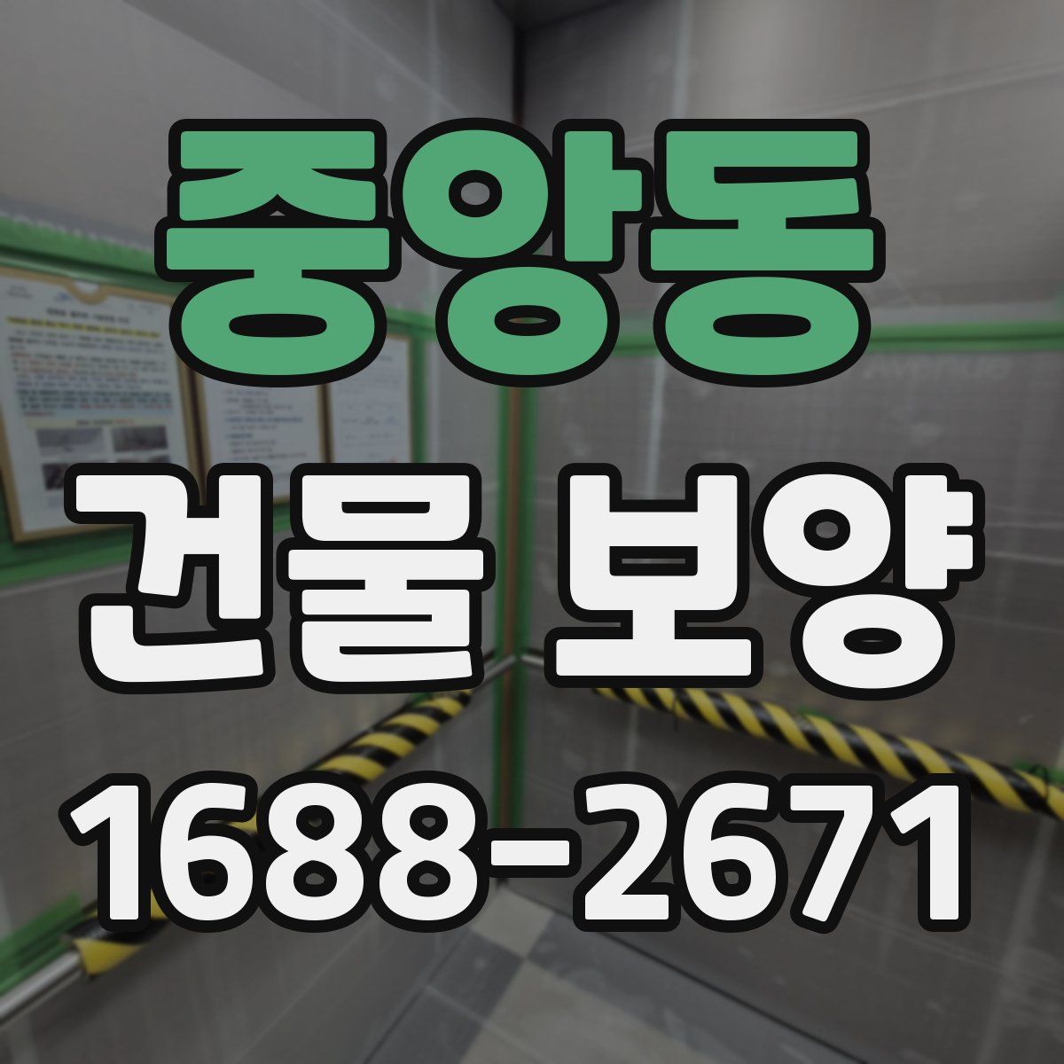 중앙동 건물 보양