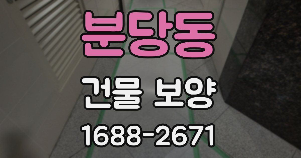 분당동 건물 보양