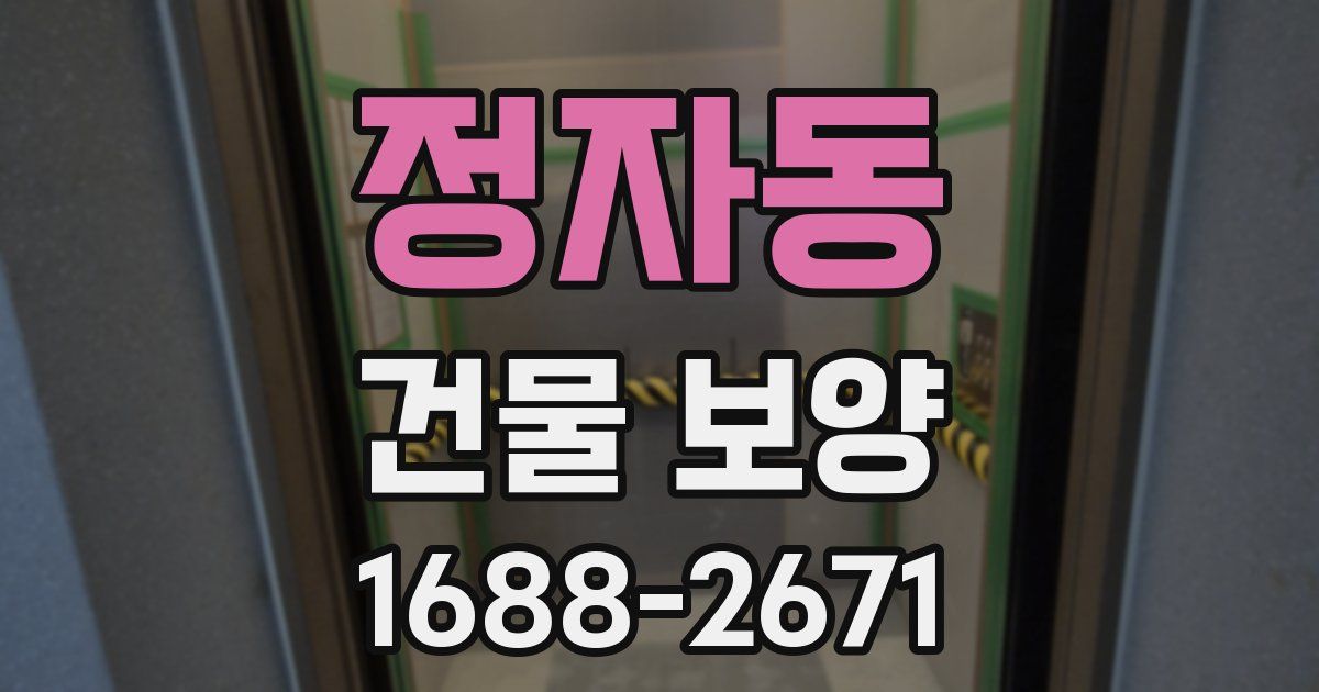 정자동 건물 보양