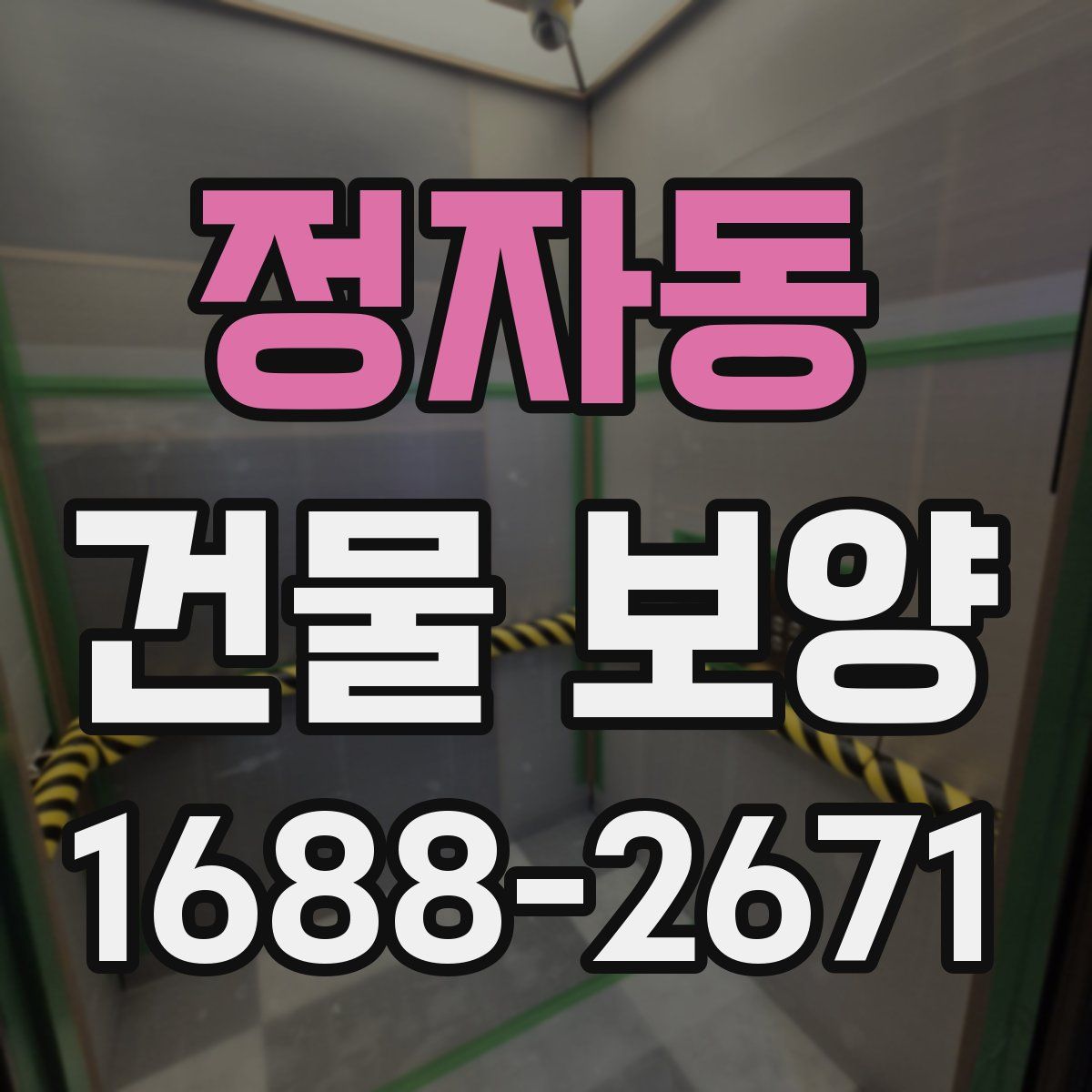 정자동 건물 보양