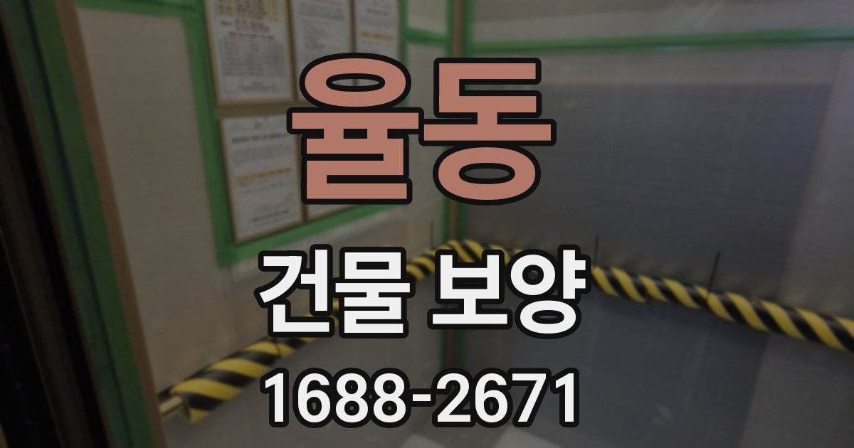 율동 건물 보양