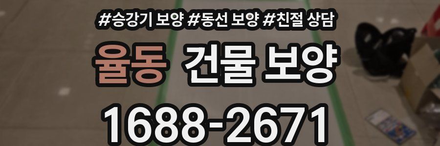 율동 건물 보양