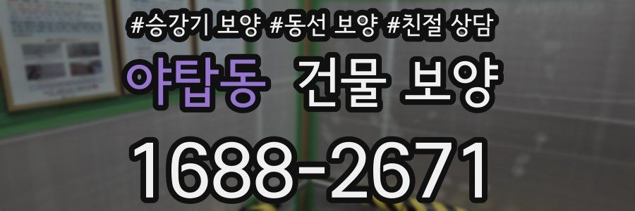 야탑동 건물 보양