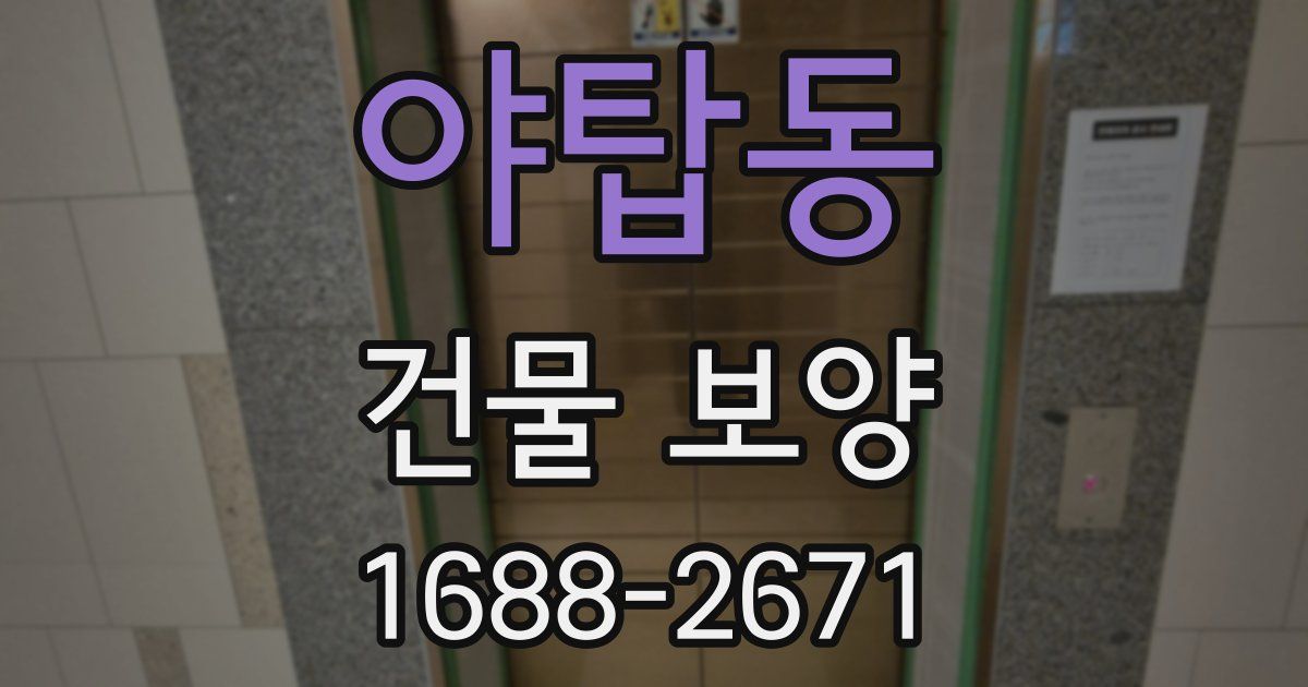야탑동 건물 보양