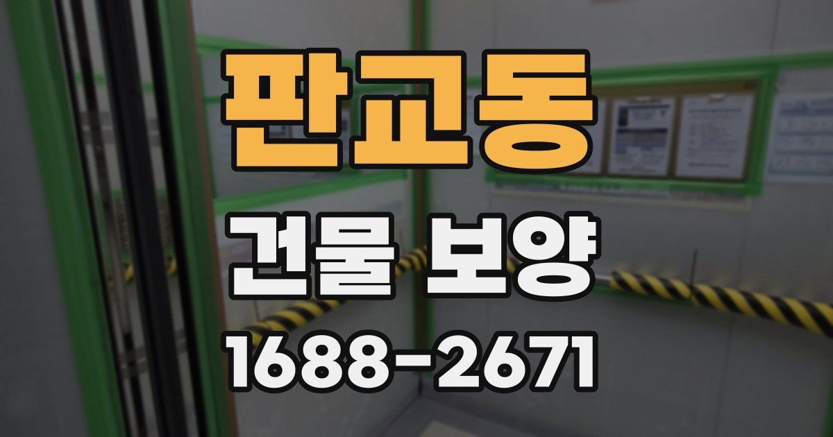 판교동 건물 보양