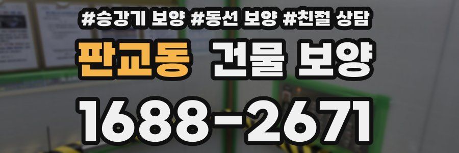 판교동 건물 보양