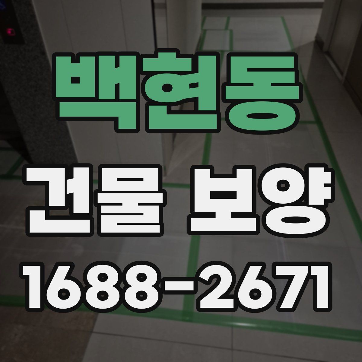 백현동 건물 보양 업체 선택 시 살펴볼 기준