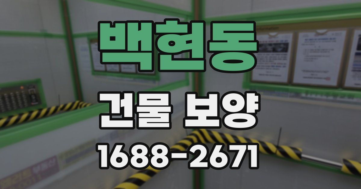 백현동 건물 보양