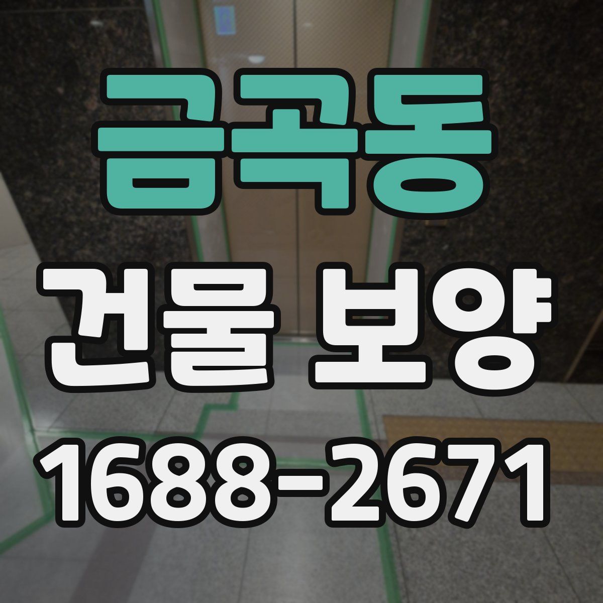 금곡동 건물 보양