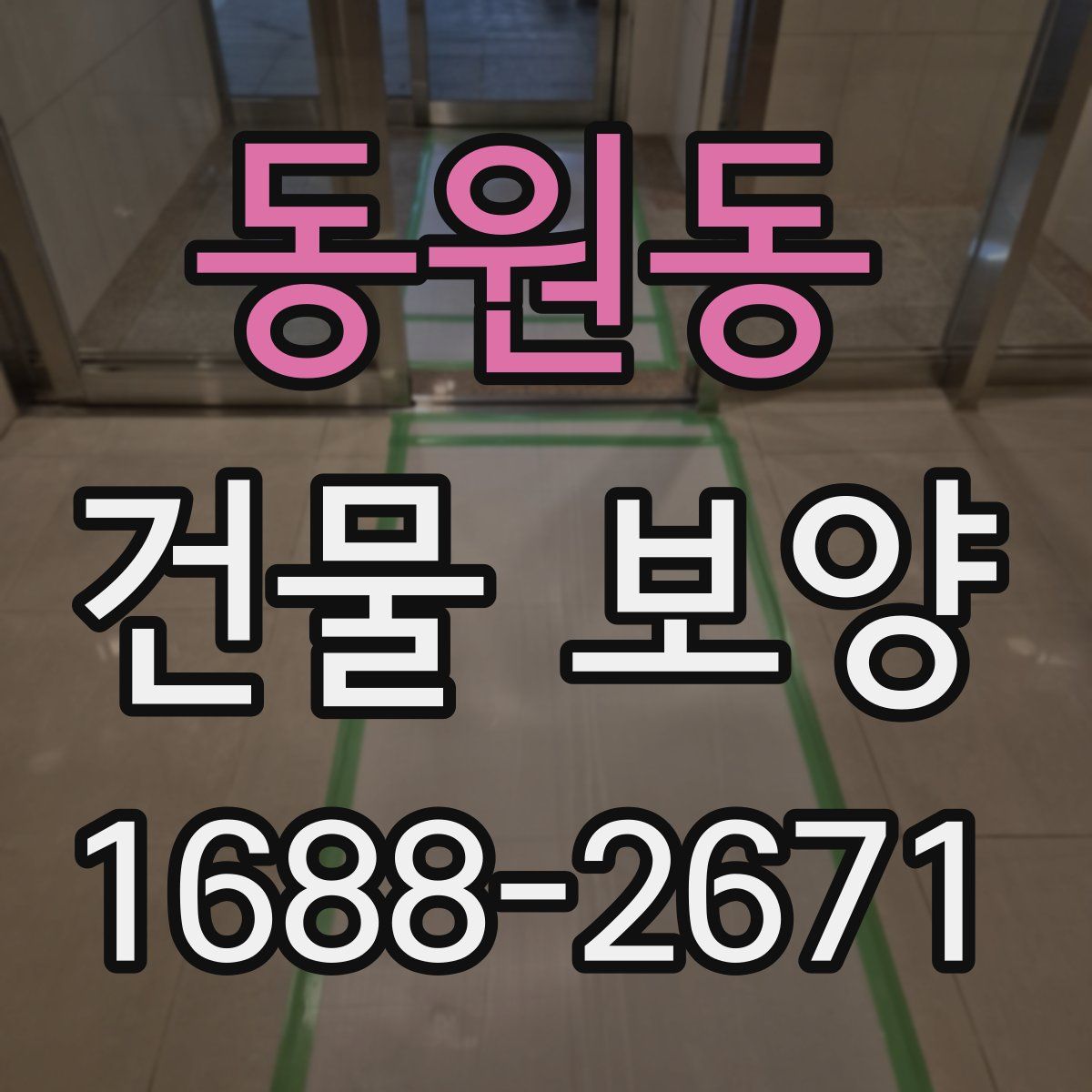 동원동 건물 보양