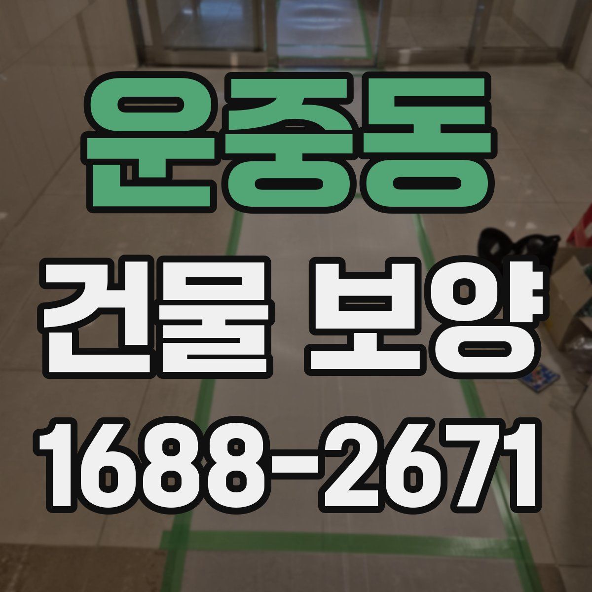 운중동 건물 보양