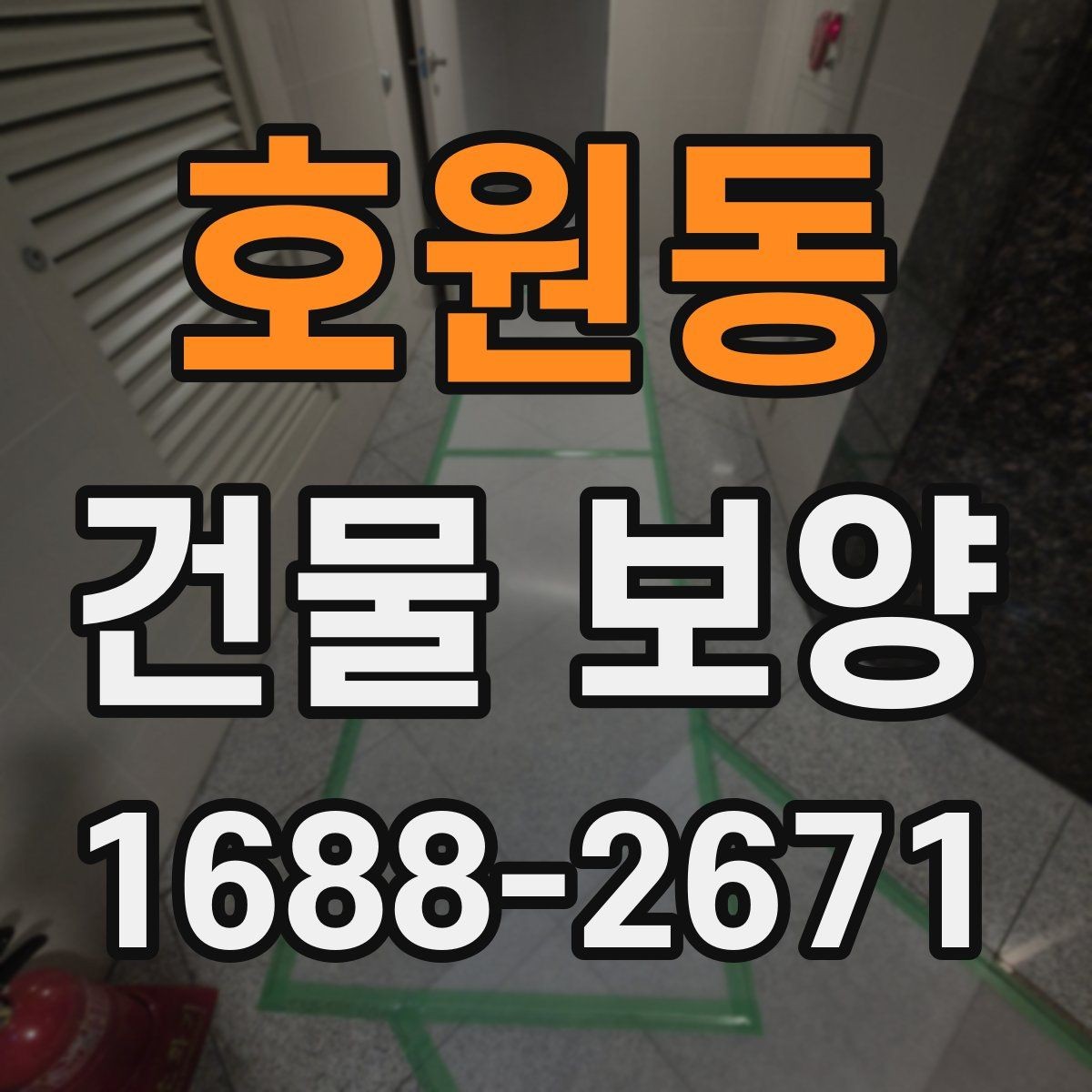 호원동 건물 보양 자재 선택이 결과를 좌우하는 이유