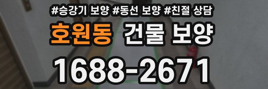 호원동 건물 보양